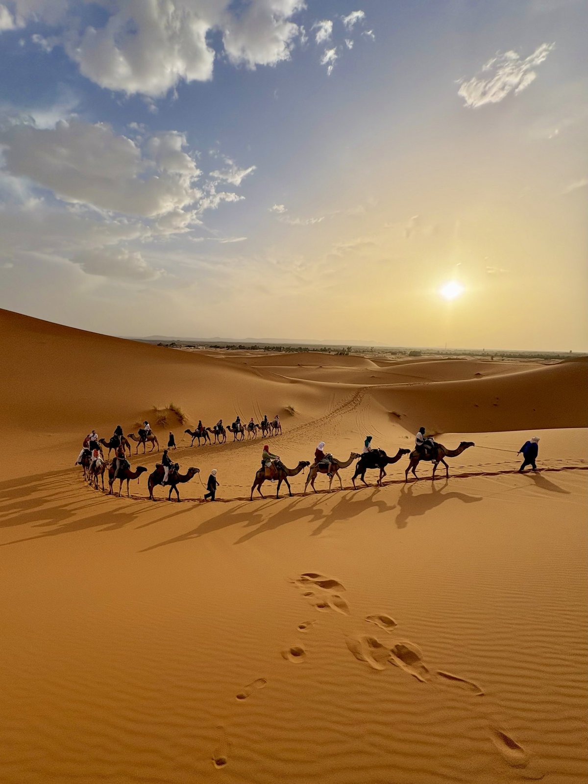 Camel caravan walking through golden desert dunes at sunset